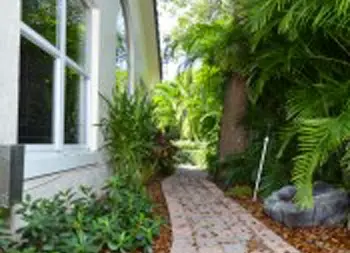 Outdoor pathway with white window frame, tropical vegetation, ferns, and natural landscaping