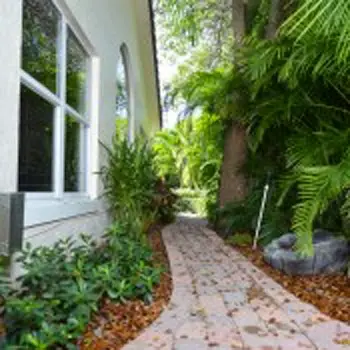 Outdoor pathway with white window frame, tropical vegetation, ferns, and natural landscaping