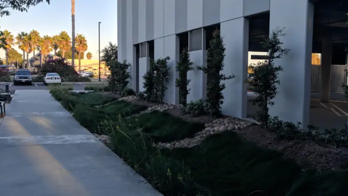 Exterior side entrance pathway with modern landscaping, palm trees, and manicured grounds leading to facility entrance