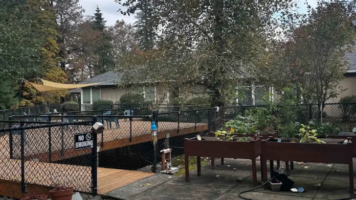 Outdoor recreational space with raised garden beds, mature trees, seating tables, and landscaping