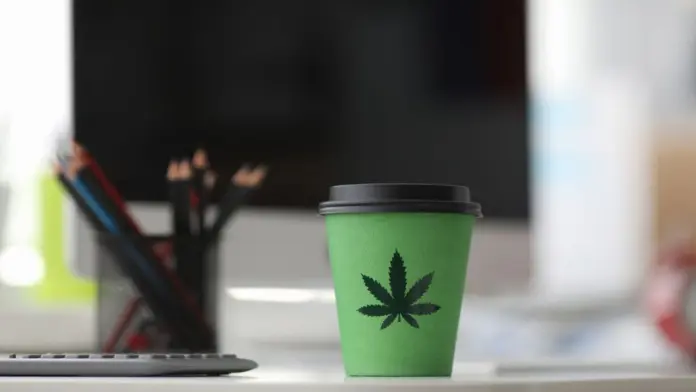 cannabis workplace rules