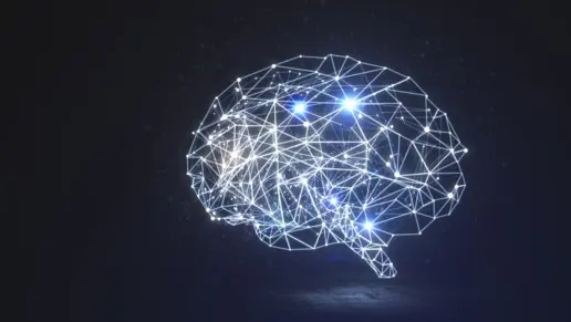 cannabis use disorder brain