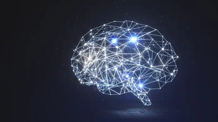 cannabis use disorder brain