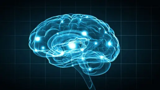 Brain Opioid Discovery Could Shape Future Addiction Treatment