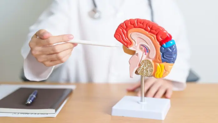 brain and addiction treatment